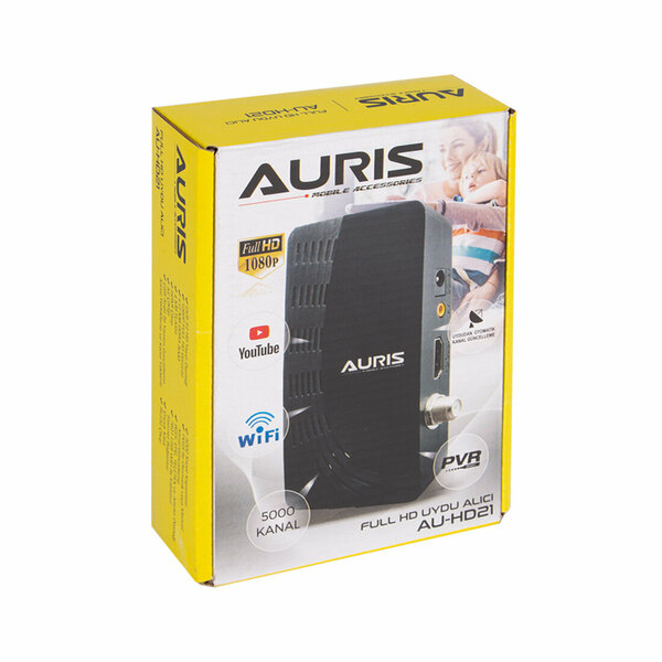 AURIS HD UYDU ALICI AU-HD21